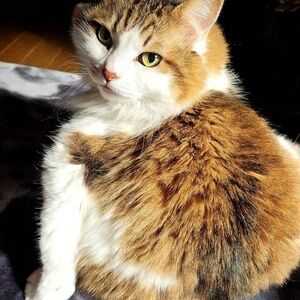 Meet your Posher, Saki